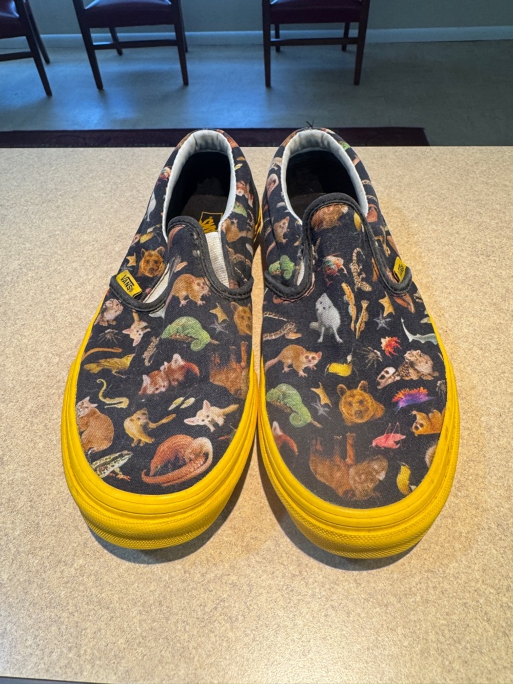 pair of Vans x National Geographic Kids Classic Slip-On sneakers Size 5.5